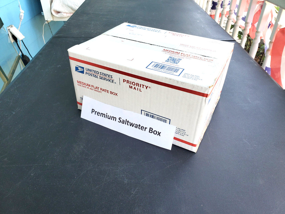 Miscellaneous Saltwater Box – Lot Of Fishing SW Fishing Tackle =all New –