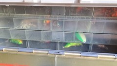 Vintage Fenwick FenLite 6.4 Multi Tier Lighted Fishing Box With Tackle