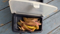 One Light Keyer Bait Box Tray Tackle Box Gray W/ Lures And More. Flip Top