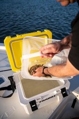 Frabill 19 Quart Magnum Bait Station with Dual Speed Aerator for Fishing