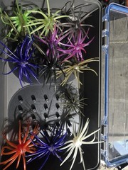 Coike, Prickly Pear, Urchin style boat storage Insert.