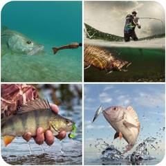GOANDO Fishing Lures Kit for Freshwater Bait Tackle Bass 78pcs, 78