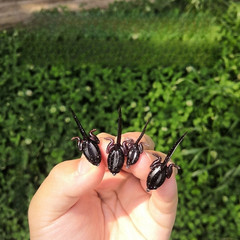 10PCS Biomimetic Tadpole Soft Lure for Bass Fishing Topwater Floating Action