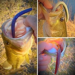 30/50/78/100Pcs Senko Worms Kit – 4″/5″ Soft Plastic Fishing Lures with Sa