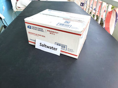 Saltwater Tackle Box -Lot Of Miscellaneous Fishing Tackle =all New – Saltwater