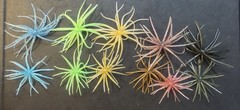 Sea Urchin Soft Lure 5 Pack You Choose Color And Size Check Description