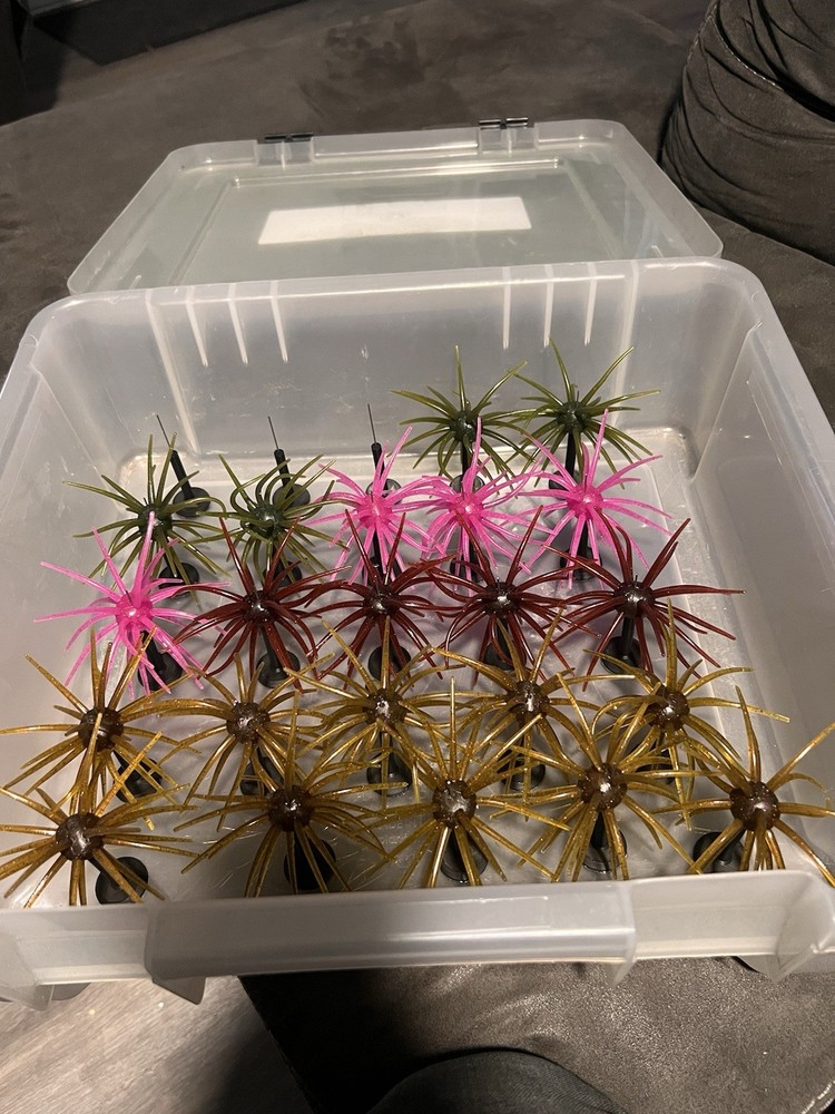 Coike/Urchin Bait Stands 25pk