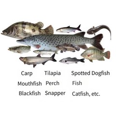 Saltwater Freshwater Metal VIB Lure Kit 8/10/15g for Bass and Blackfish