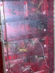 Vintage Old Pal fishing tackle box with vintage fly fishing lures (27098)