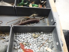 Woodstream tackle box loaded with game fish lures, hooks, worms tools jigs *216