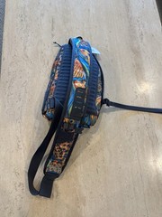 Orvis Sling Pack