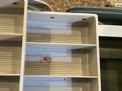 6 Tray Vintage Plano Tackle Box Model 8600