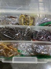 Massive Plano Tackle box Full Of Soft Plastic Fishing Lures Zoom Powerbait