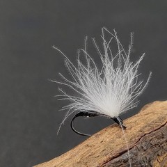 Dry Fly Lures 5 Pieces for Trout Bass High Carbon Steel Hooks Floating