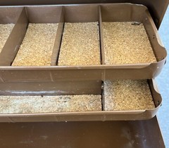 Tackle Box , Fishing, Brown , Used , 2 Tray, Cork Bottom, Hard Metal, Snap Close