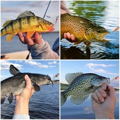 Trout Fishing Spoon Lure Set Single Hook Trout Lures Hard Metal Baits Mini Fi…