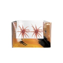 Slow Sinking For Sea Urchin Soft Lure 6cm 1.7g for River Reservoir Bass Fishing