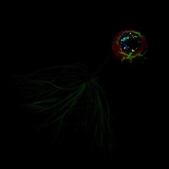 Glow Fishing Lure Night Fishing Glow-in-the-Dark Stable Swimming Action