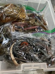 Massive Plano Tackle box Full Of Soft Plastic Fishing Lures Zoom Powerbait