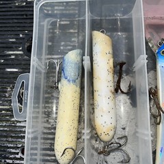 SHIMANO STORAGE LURE, ORGANIZER CASE With Used Lures As Shown