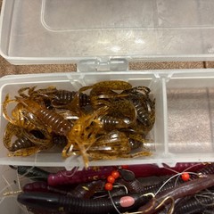 Plano 6201 Tackle Plus Loads Of Lures Some Un-Branded. Flicker Shad, Hot-N-Tot.