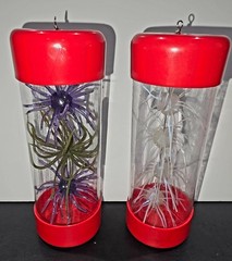 Urchin Fuzzy Bait Tackle Tube Storage 3-Pack | Tumbleweed, Hags, Coike, Moeba