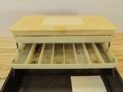 Vintage Tackle Fishing Box Sears Ted Williams 6 Tray 34454 and Instruction