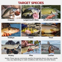 by KastKing 400-Pieces Freshwater Terminal Tackle Kit, Endorsed by Fishing Ex…