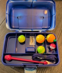SouthBend WG-TB88-B Wormgear Small Tackle Box Blue Starter Kit Fishing