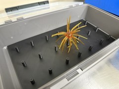 Urchin bait storage Insert (Fits Plano 3700 Deep Box)