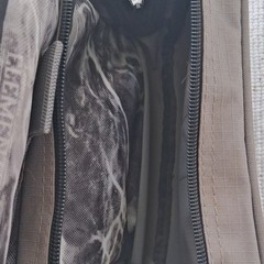 Plano Oole Tackle Bag Gray Black Yellow Soft Sided 3 Pockets Shoulder Strap