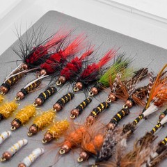 SF XL Clear Fly Fishing Boxes w/Foam, Tackle & Jig Head Storage, 2-Pack