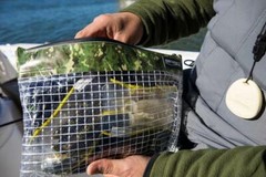 Spro Mesh Camo Zippered Bait Pouch Bag – Choose Size