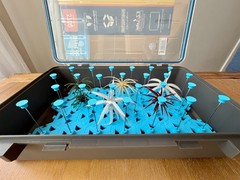 Urchin Coike Style Fishing Tackle Trays for Boxes (Light Blue, Fits Any Box)
