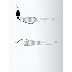 Floating Shrimp Lure 7.5cm 2.5g TPE Soft Bait Pack of 10 for Bass Perch Fishing