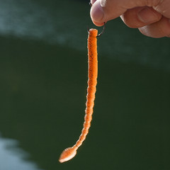 110mm Floating Soft Baits 15pcs Silicone Swimbaits Worms for Blackwater Ponds