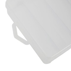 Bait Box PVC Plastic Transparent 17.5×9.5x3cm 1pc Accessory Box Bait Box
