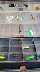 Vintage Fenwick FenLite 6.4 Multi Tier Lighted Fishing Box With Tackle