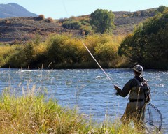 Light Weight Floating Designer Fishing Fly Box – Slim Size ITEM -M1534