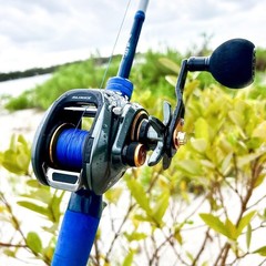 Piscifun Alinox 300 Baitcasting Reel, 33LB Drag, Aluminum Frame | Freshwater …
