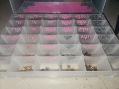 Bass Pro Shops Extreme 360 Tackle Box LOT w/500 Hand Tied Fly Fishing Flies